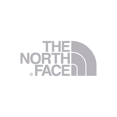 the north face logo