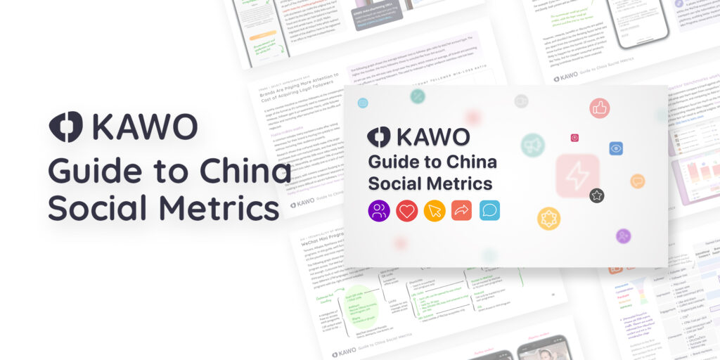 Cover image of "Guide to China Social Metrics"